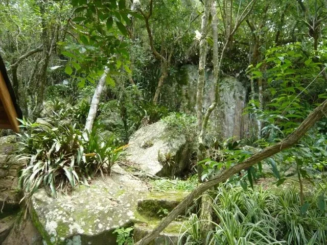 Imagem 16: Casa para Quem Gosta de Tranquilidade!