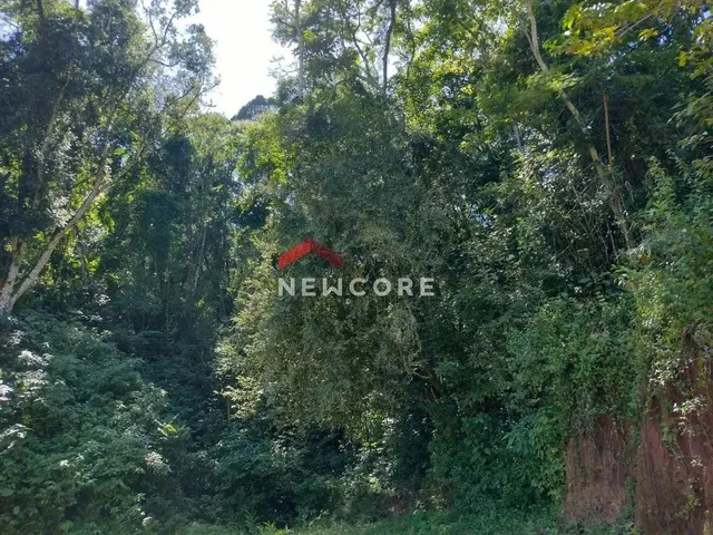 Imagem 15: Sobrado em Avenida Principal - Rocha - Adrianópolis/Pr