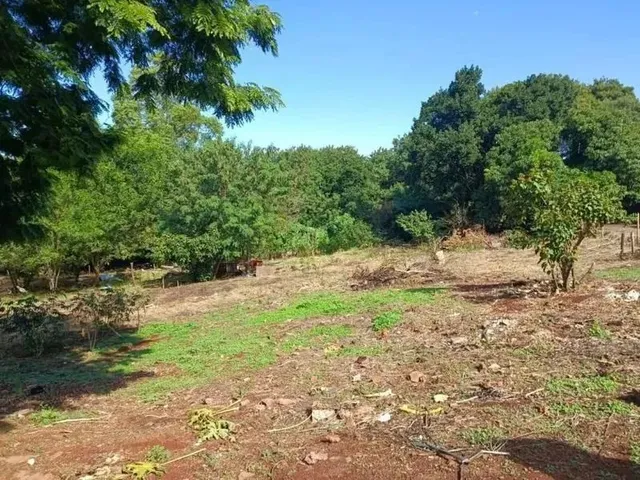 Imagem 1: Lote, Desocupado
