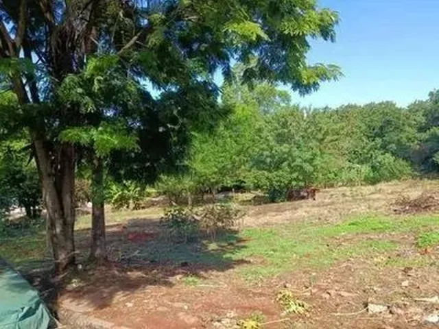 Imagem 4: Lote, Desocupado