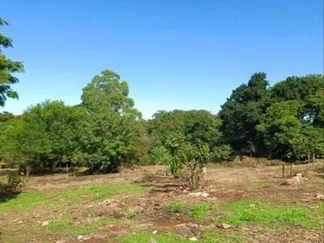 Imagem 3: Lote, Desocupado
