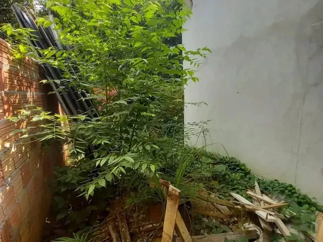 Imagem 6: Vende-Se Lote/Com Casa em Acabamentos/Residencial Villa Suíça/Excelente Localização