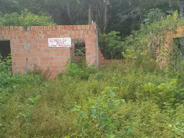 Imagem: Terreno no Janauari Comunidade São Pedro