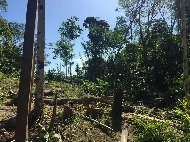 Imagem: Terreno para Venda na Estrada do Cetur