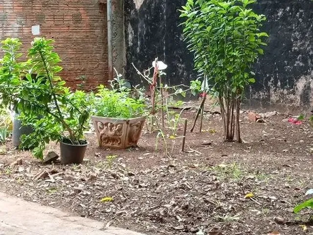Imagem 10: Vendo Troco por Caminhão, Casa Quitada com Escritura no Guanandi