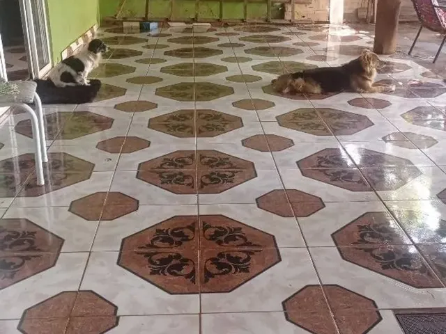 Imagem 6: Vendo Troco por Caminhão, Casa Quitada com Escritura no Guanandi