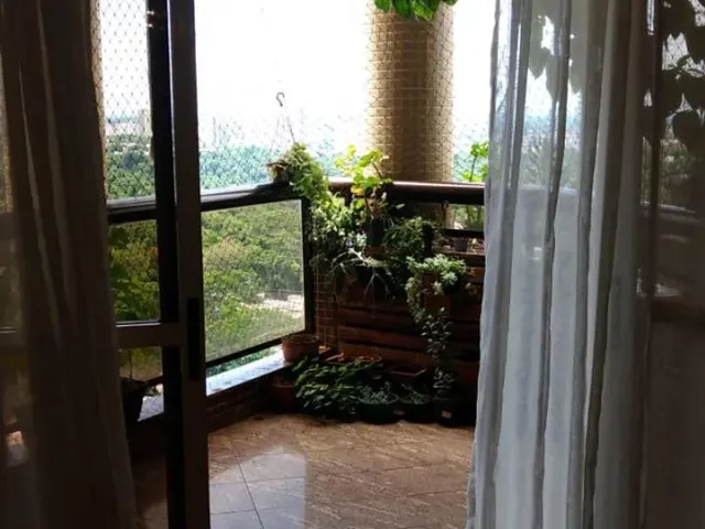 Imagem 16: Apartamento Ed Camalotes, Maringá Direto com Proprietário