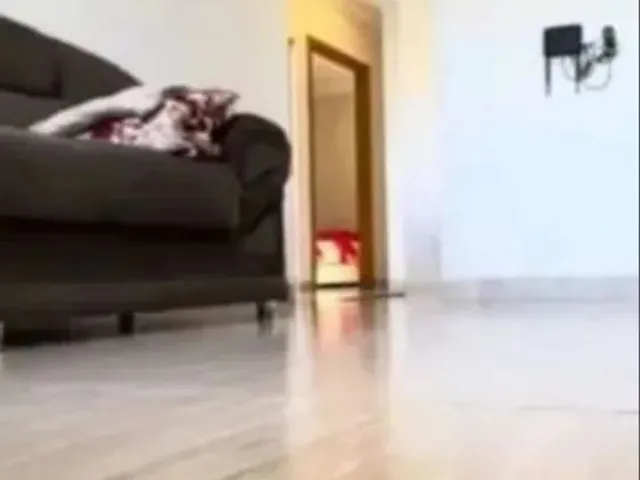Imagem 9: Vendo Casa com 3 dormitórios