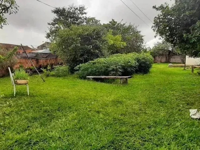 Imagem 5: Campo Grande - Casa Padrão - Vila Piratininga