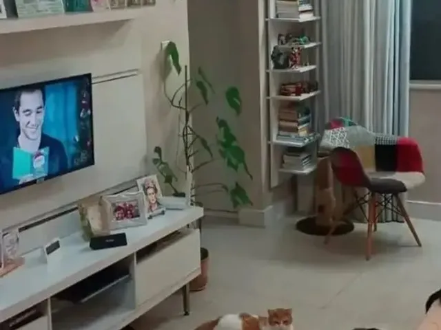 Imagem: Apartamento À Venda no Recanto dos Guarás