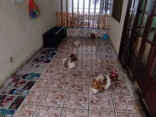 Imagem 10: Oportunidade Casa Duplex na Farolândia - 167366 [9792