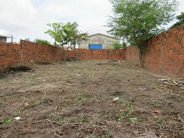 Imagem 2: Excelente Terreno de Esquina com Área 12 X 33, Ideal para o Seu Negócio, Localizado Rua