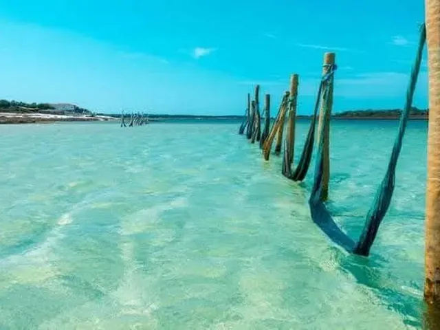 Imagem 6: Lotes em Jericoacoara o Mais Próximo do Parque Nacional!
