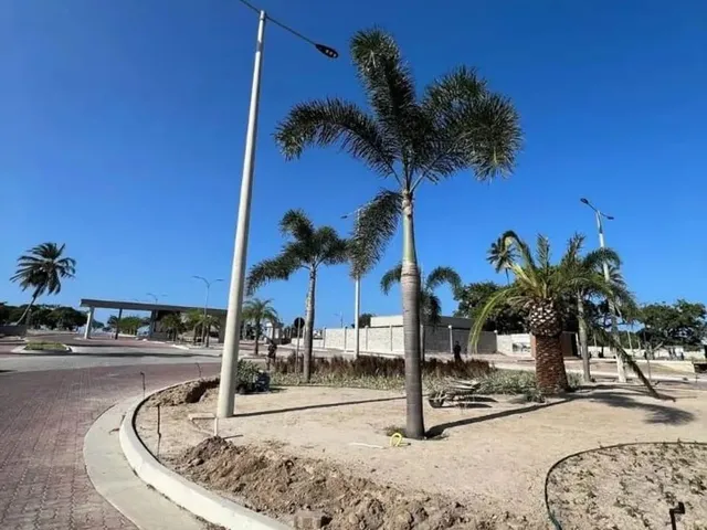 Imagem 4: Lotes em Eusébio, Moradas Eusébio