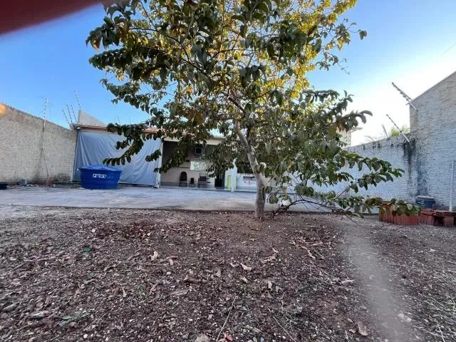 Imagem 6: Casa de 3 Quartos Valor 320 M2 com Varanda nos Fundos Quintal de 12*3