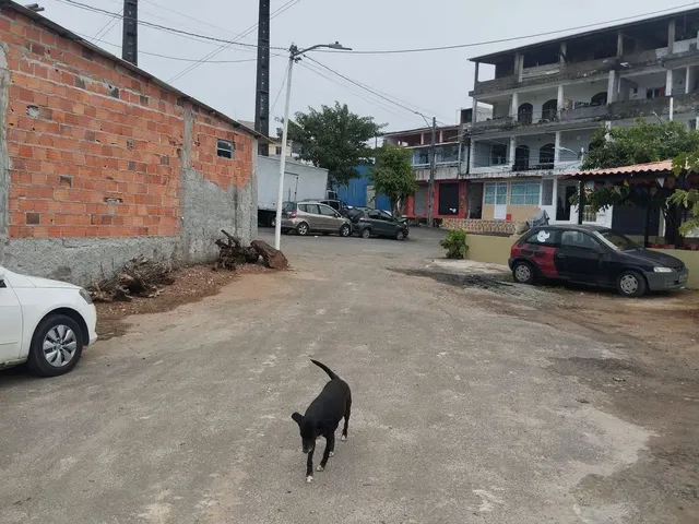 Imagem 6: Vende-Se Ponto Comercial e Um Terreno no Trobogy, Fácil Acesso para Caminhão
