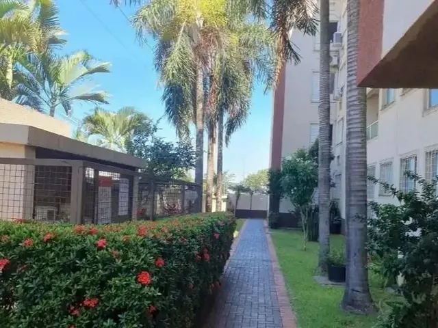 Imagem 11: Apartamento Duplex À Venda na Vila Marumby em Maringá com 3 Quartos e Suíte