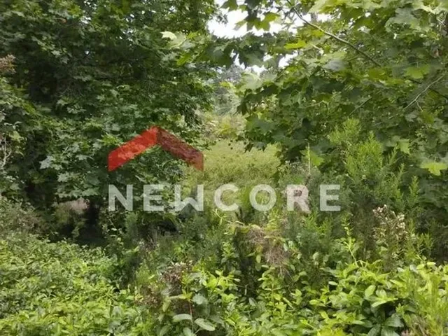 Imagem: Lote em Rua Boca da Serra - Remanso Indianópolis