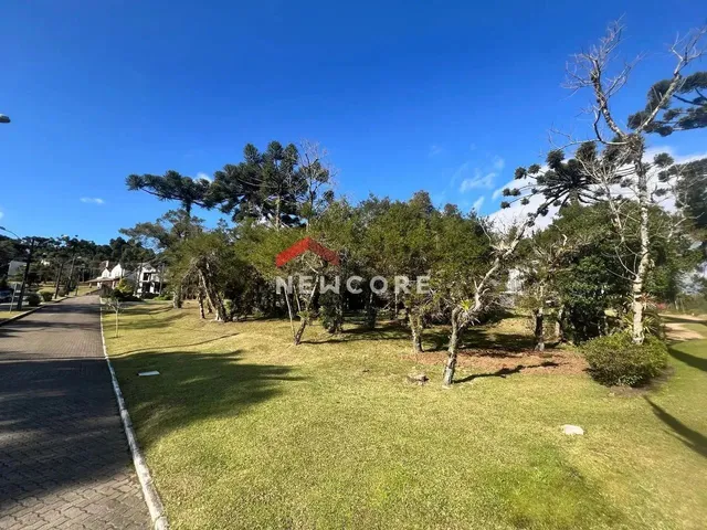 Imagem 11: Lote em Condomínio em Avenida Jenny Chaves Fleck - Centro - Canela/Rs