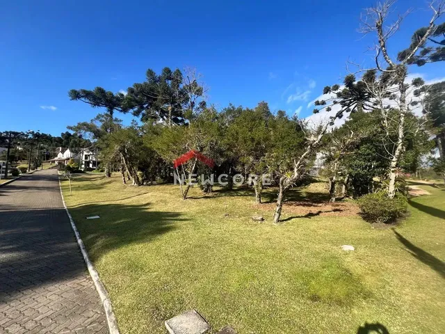 Imagem 15: Lote em Condomínio em Avenida Jenny Chaves Fleck - Centro - Canela/Rs