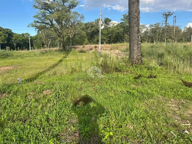 Imagem: Terreno com 445M2 Localizado no Bairro Bela