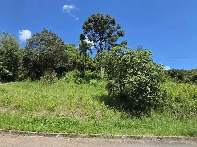 Imagem 3: Terreno para Venda em Picada Café, Centro