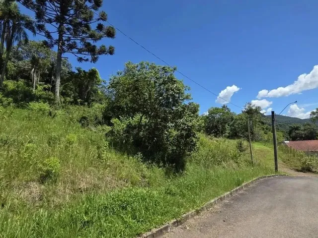 Imagem 6: Terreno para Venda em Picada Café, Centro
