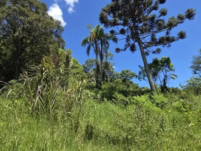 Imagem 5: Terreno para Venda em Picada Café, Centro