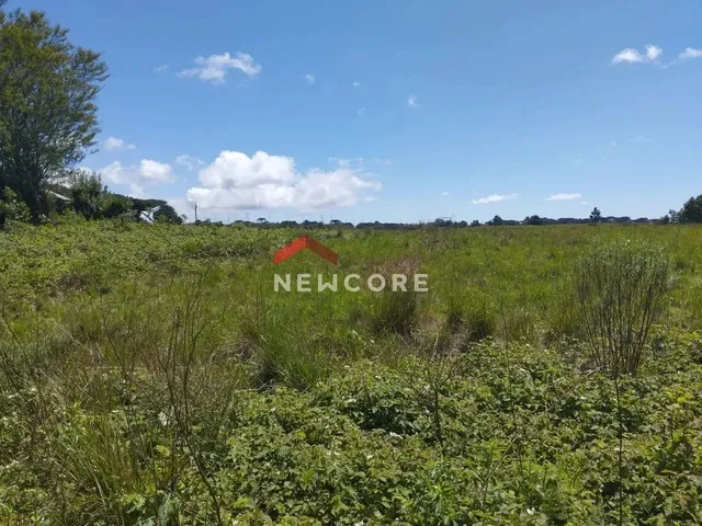 Imagem 1: Lote em Rua Bracatinga - Colinas - São Francisco de Paula/Rs