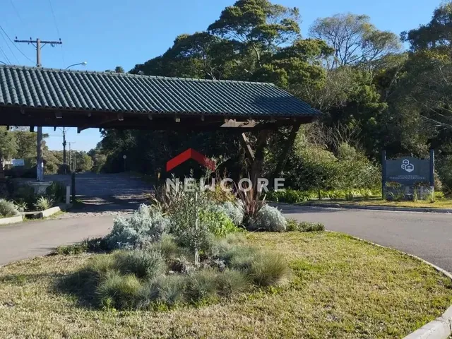 Imagem: Lote em Rua Abutilon - Colinas - São Francisco