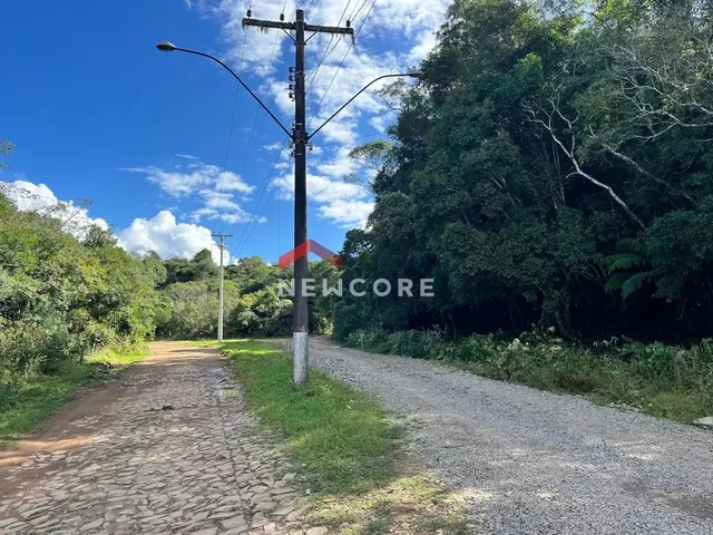 Imagem: Lote em Avenida Chimangos - Colinas - São