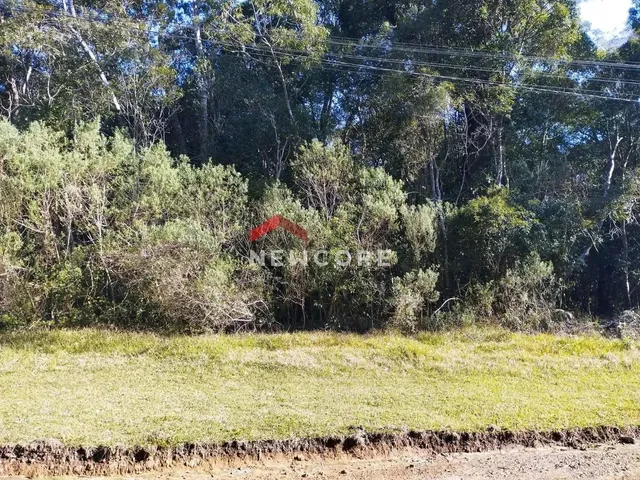 Imagem: Lote em Avenida Ximangos - Colinas - São