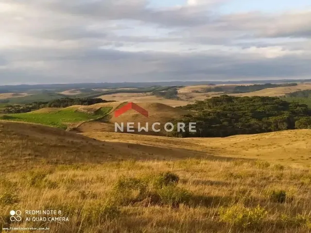 Imagem: Sítio em Interior - Interior - Zona Rural