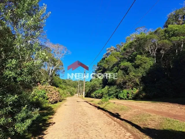 Imagem: Lote em Avenida Chimangos - Colinas - São