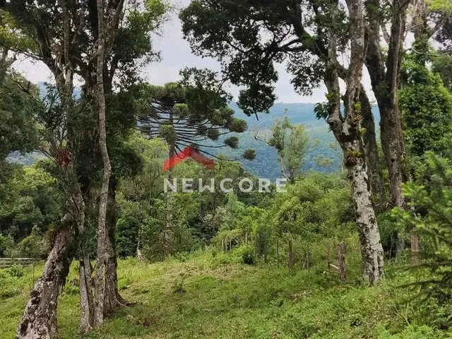 Imagem: Lote em Rua dos Pessegueiros - Campo do
