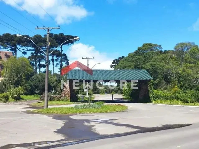 Imagem: Lote em Rua Sábias - Colinas - São Francisco