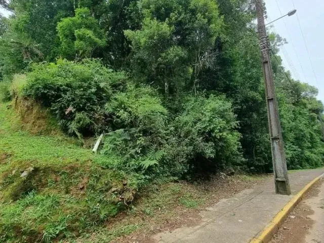 Imagem: Terreno - Bairro Moura