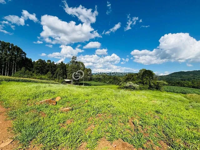 Imagem: Exuberante Sítio com 12 Hectares