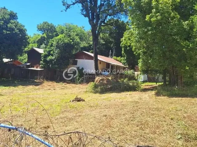 Imagem 5: Terreno de 702,20 M² À Venda em Canela!