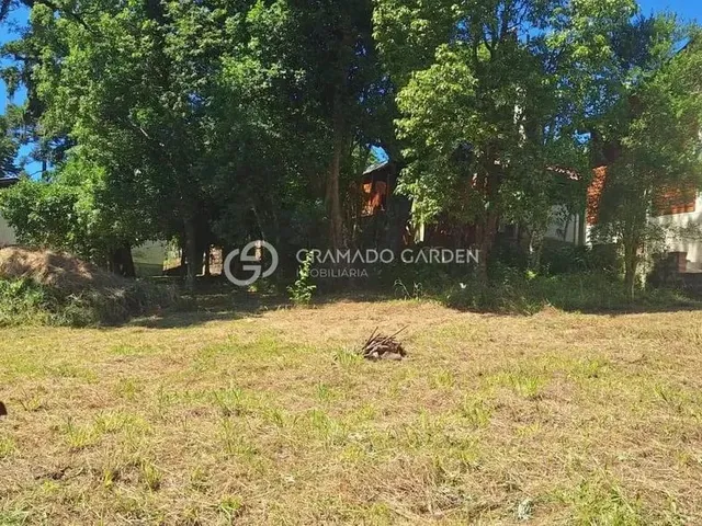 Imagem 6: Terreno de 702,20 M² À Venda em Canela!