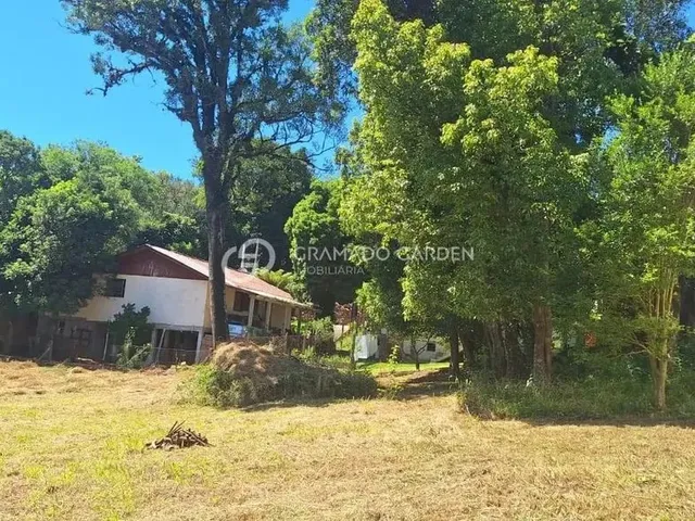 Imagem 4: Terreno de 702,20 M² À Venda em Canela!