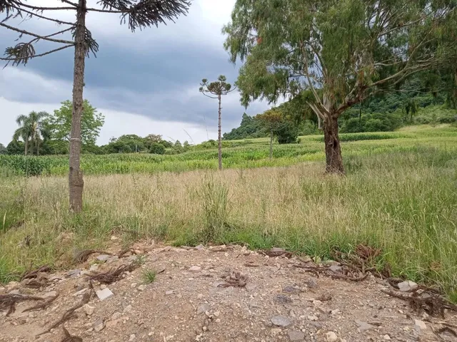 Imagem: Área de 4 Hectares para Investimento
