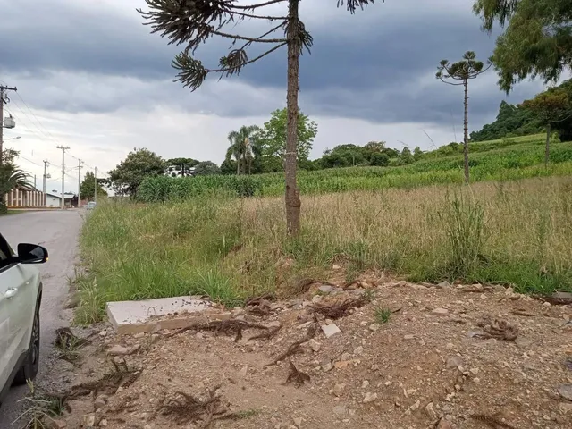 Imagem 2: Área de 4 Hectares para Investimento