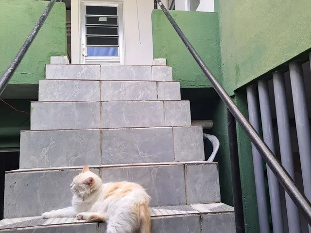 Imagem: Kitnet por Diária