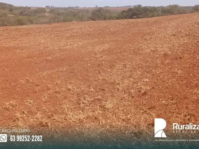 Imagem: Fazenda Uberaba-Mg Área Total 96,8 Hectares
