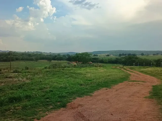 Imagem: Vendo 125 Alqueires Mineiro em Honorópolis(250