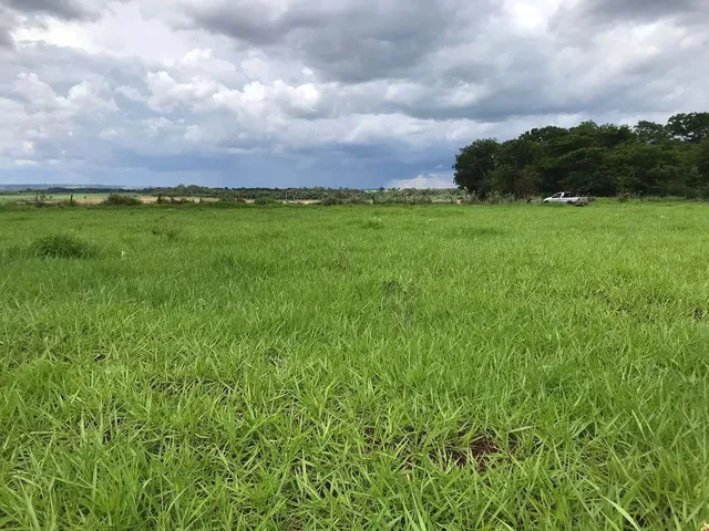 Imagem: Fazendinha Plana
