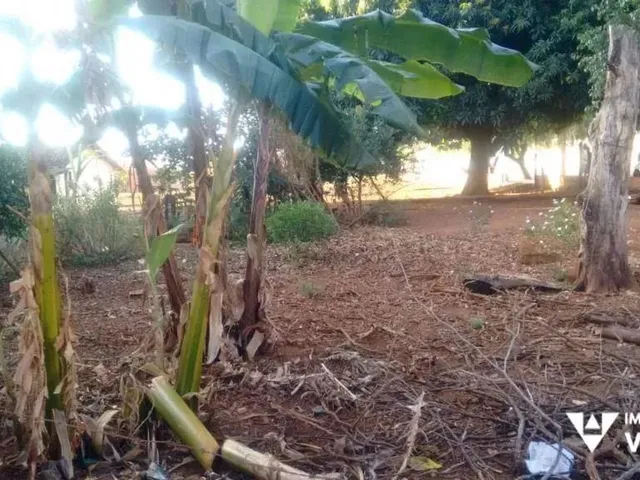 Imagem 2: Ótimo Terreno À Venda, no Parque São José