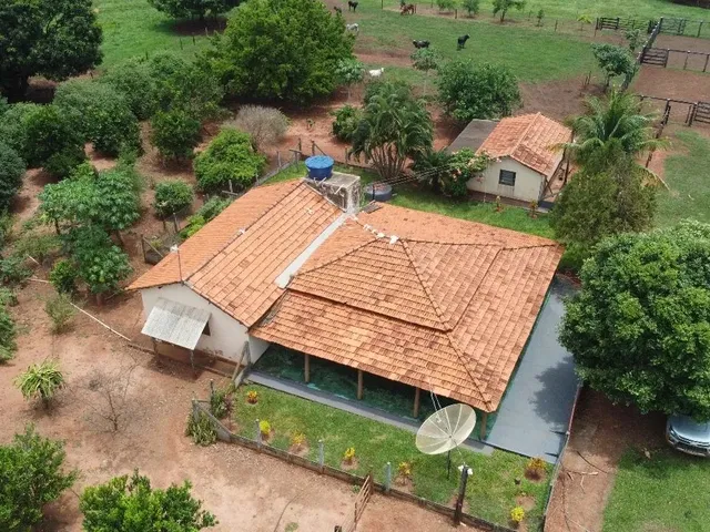 Imagem: Fazenda Dupla Aptidão Campina Verde