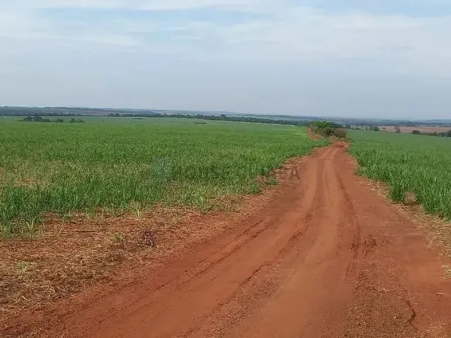 Imagem: Fazenda de 150 Alqueires (360 Hectares)
